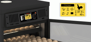 Rcom Maru PX100SD egg incubator image 4