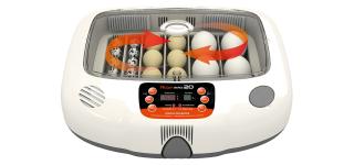 Rcom MX20 egg incubator hatcher image 2